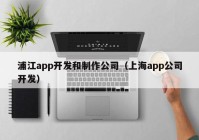 浦江app开发和制作公司（上海app公司开发）