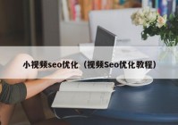 小视频seo优化（视频Seo优化教程）