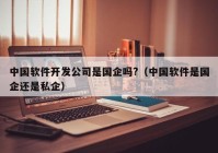 中国软件开发公司是国企吗?（中国软件是国企还是私企）