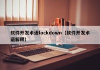 软件开发术语lockdown（软件开发术语解释）