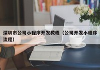深圳市公司小程序开发教程（公司开发小程序流程）